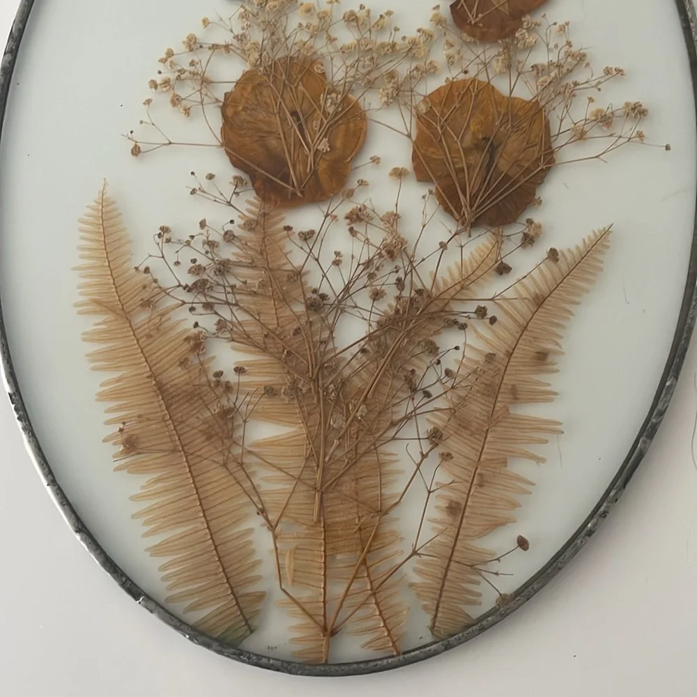 Wall Art dried butterflies and flowers Set of 2